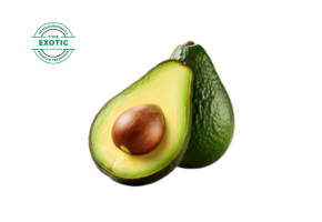 Avocado (Regular) - एवोकाडो - એવોકાડો